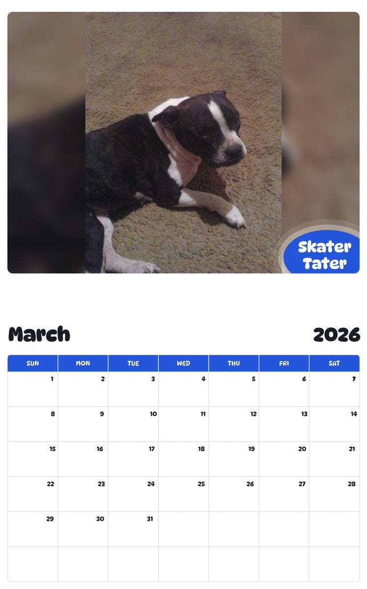 November 2025 - October 2026 Skater Tater - Pawidols Pet Calendar