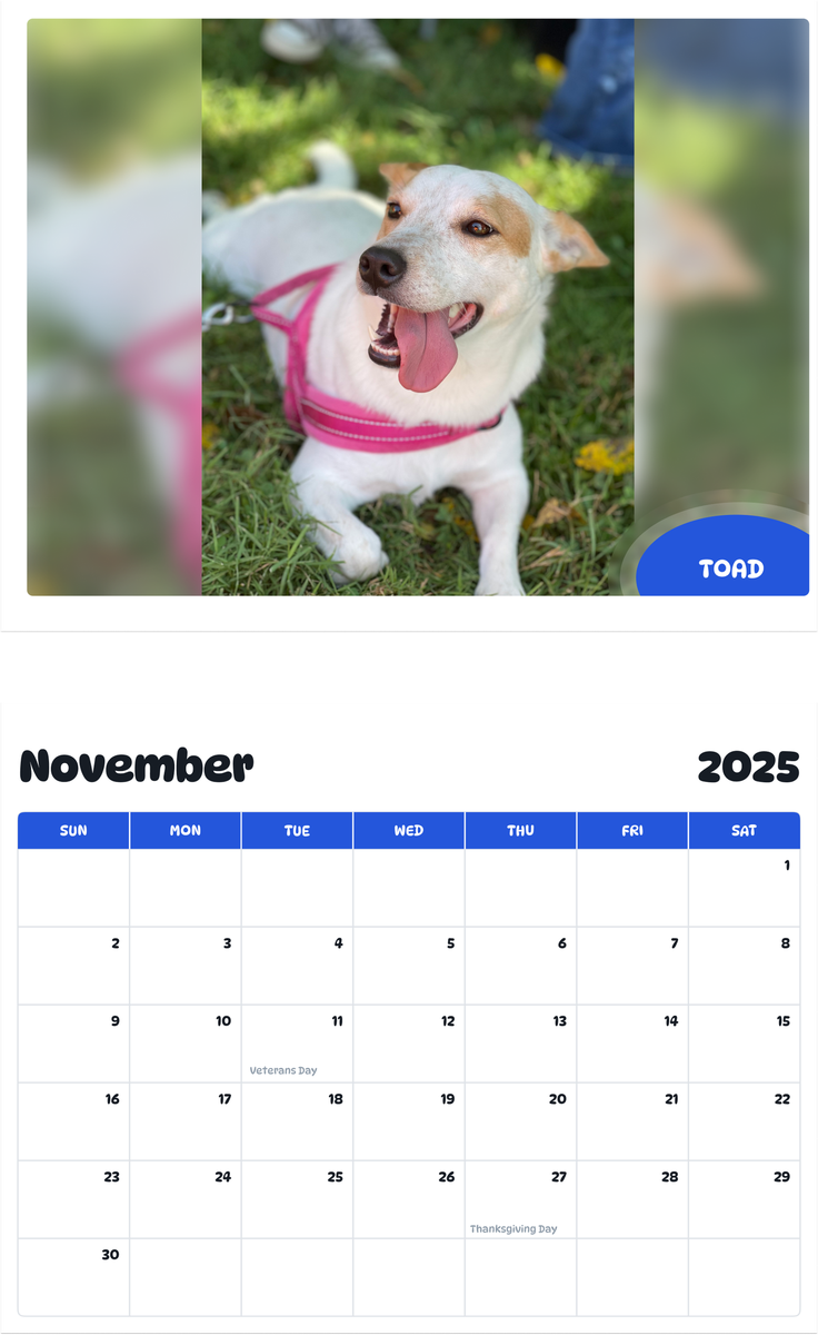July 2025 - June 2026 Toad - Pawidols Pet Calendar