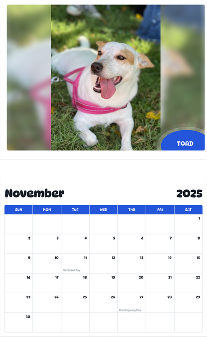 July 2025 - June 2026 Toad - Pawidols Pet Calendar