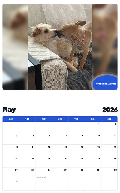 2026 - 2027 Gracie Mae & Jethro - Pawidols Pet Calendar