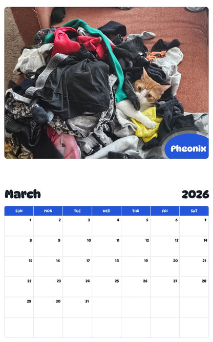 November 2025 - October 2026 Pheonix - Pawidols Pet Calendar
