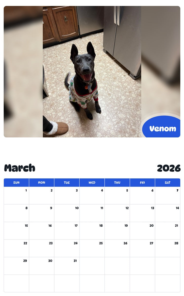 November 2025 - October 2026 Venom - Pawidols Pet Calendar