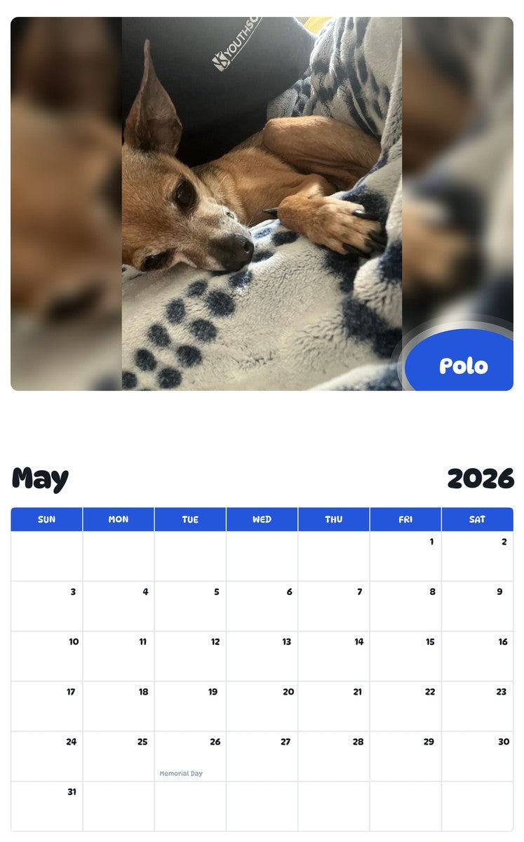 2026 - 2027 Polo - Pawidols Pet Calendar