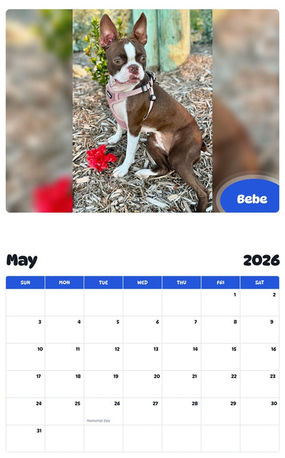 2026 - 2027 Bebe - Pawidols Pet Calendar