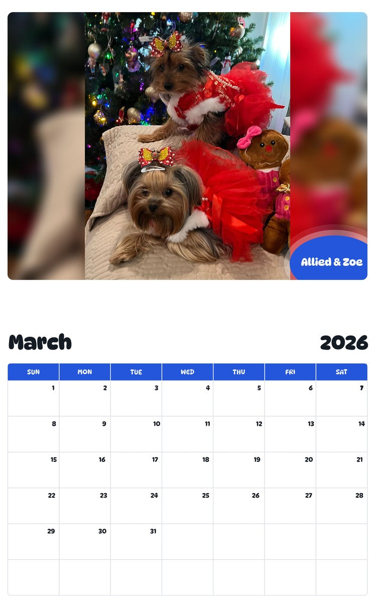 November 2025 - October 2026 Allied & Zoe - Pawidols Pet Calendar