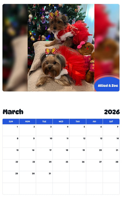 November 2025 - October 2026 Allied & Zoe - Pawidols Pet Calendar