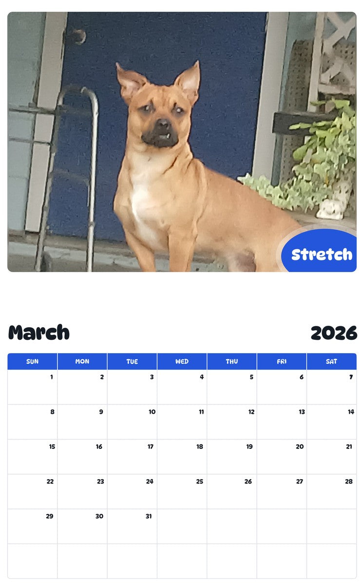 November 2025 - October 2026 Stretch - Pawidols Pet Calendar