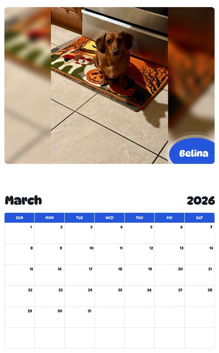 November 2025 - October 2026 Belina - Pawidols Pet Calendar
