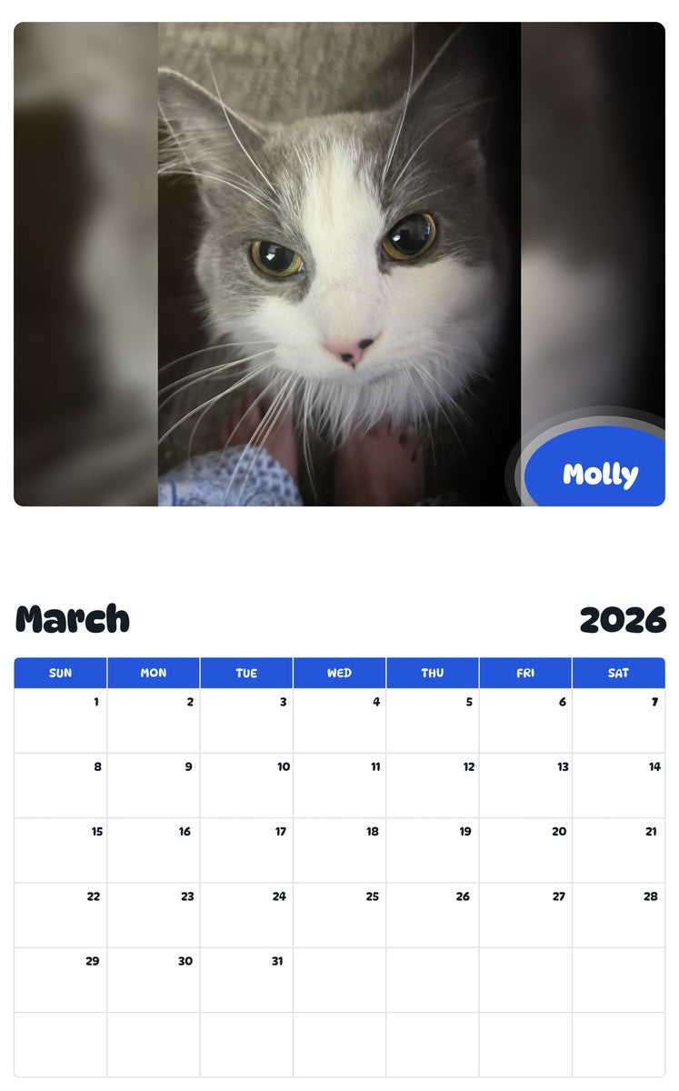 November 2025 - October 2026 Molly - Pawidols Pet Calendar