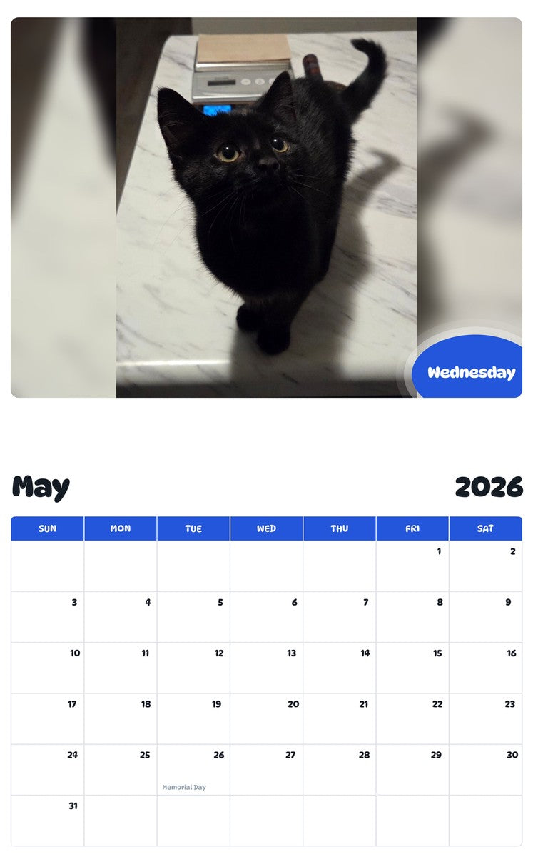 2026 - 2027 Wednesday - Pawidols Pet Calendar