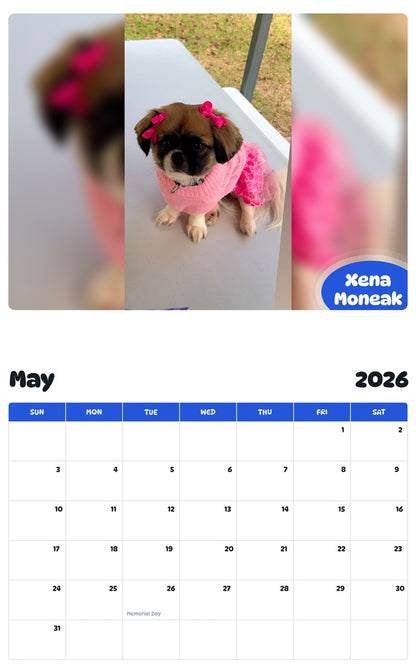 2026 - 2027 Xena Moneak - Pawidols Pet Calendar