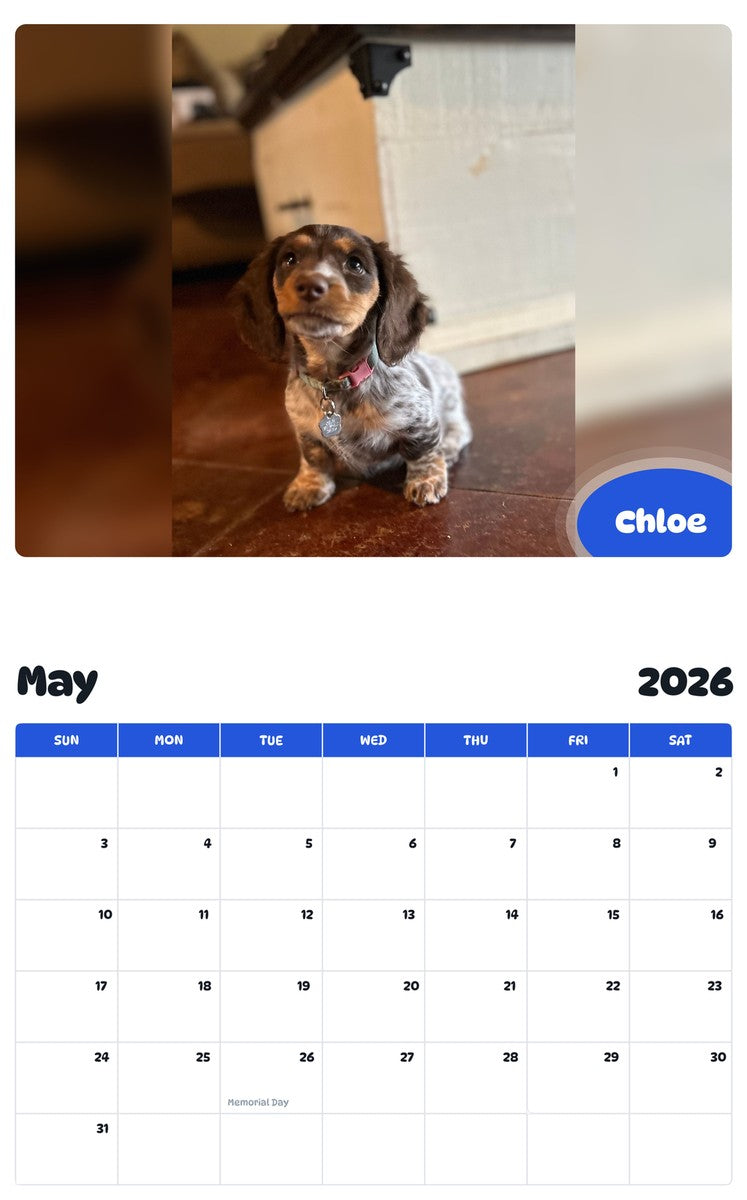 2026 - 2027 Chloe - Pawidols Pet Calendar