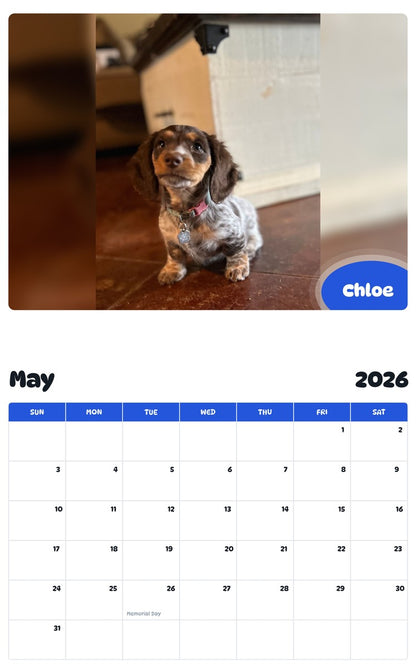 2026 - 2027 Chloe - Pawidols Pet Calendar