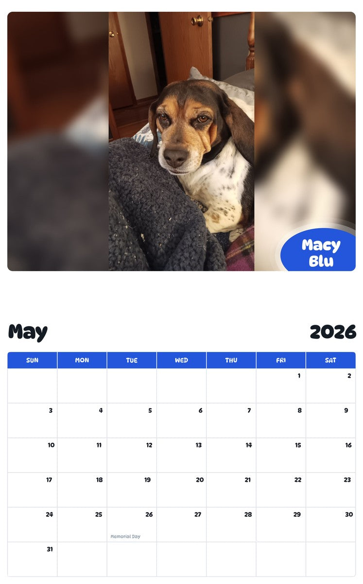 2026 - 2027 Macy Blu - Pawidols Pet Calendar