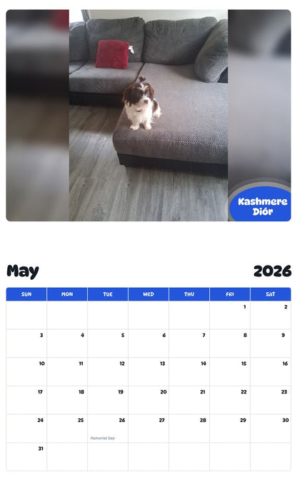 2026 - 2027 Kashmere Diór - Pawidols Pet Calendar