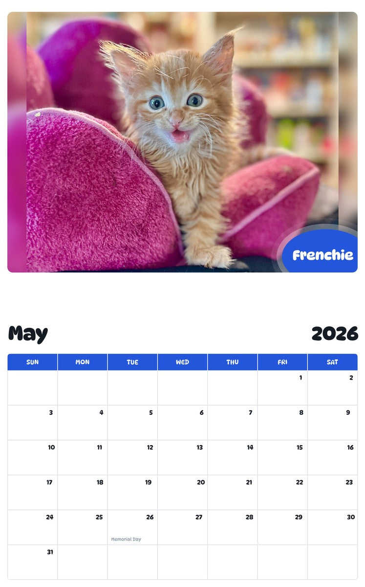 2026 - 2027 Frenchie - Pawidols Pet Calendar