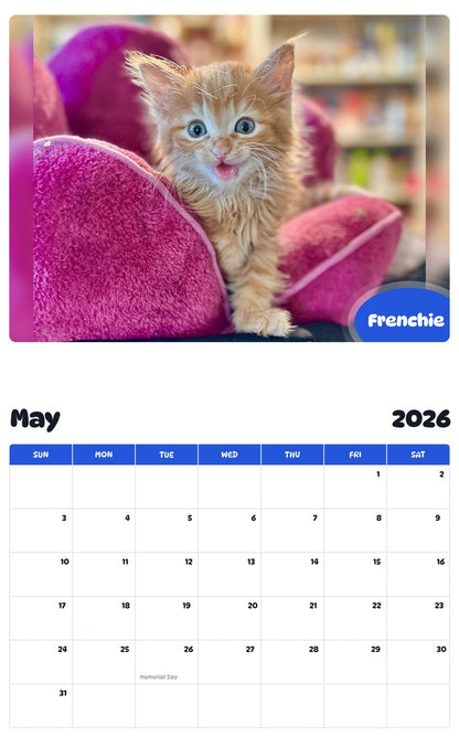 2026 - 2027 Frenchie - Pawidols Pet Calendar