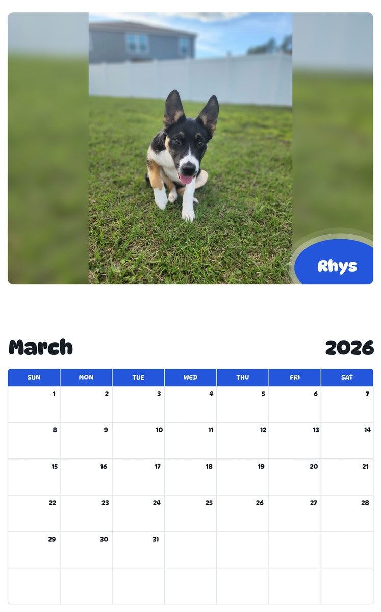 November 2025 - October 2026 Rhys - Pawidols Pet Calendar