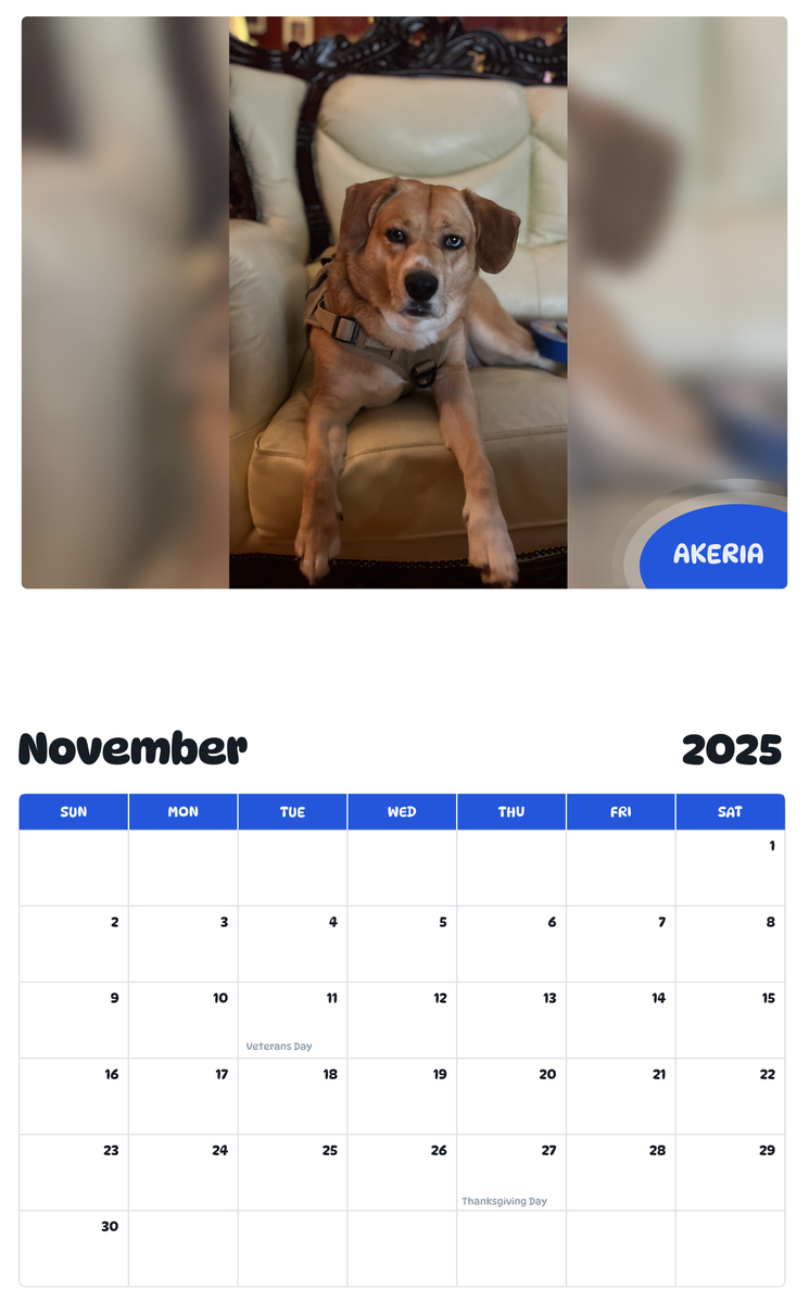 July 2025 - June 2026 Akeria - Pawidols Pet Calendar