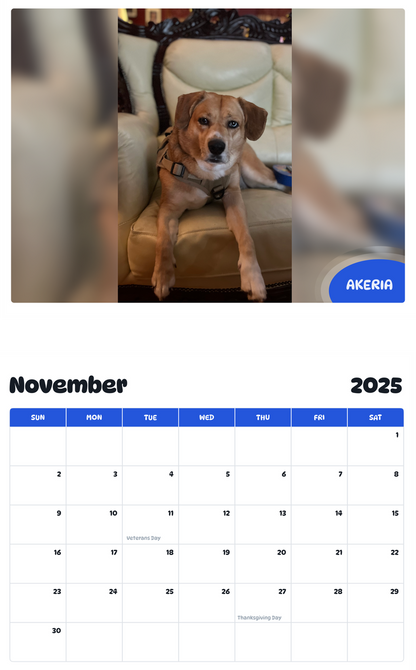 July 2025 - June 2026 Akeria - Pawidols Pet Calendar