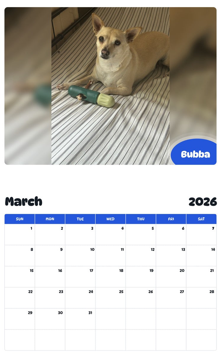 November 2025 - October 2026 Bubba - Pawidols Pet Calendar