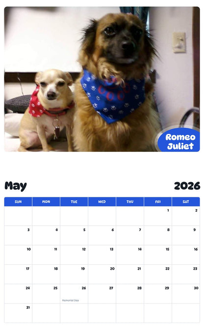 2026 - 2027 Romeo Juliet - Pawidols Pet Calendar