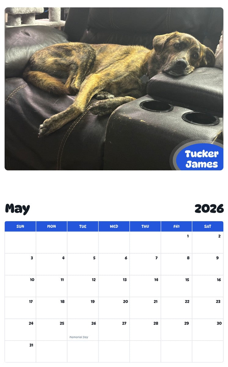 2026 - 2027 Tucker James - Pawidols Pet Calendar