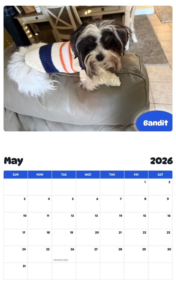 2026 - 2027 Bandit - Pawidols Pet Calendar