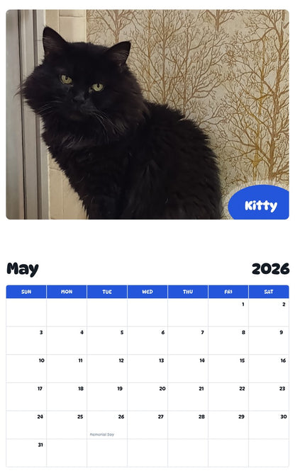 2026 - 2027 Kitty - Pawidols Pet Calendar