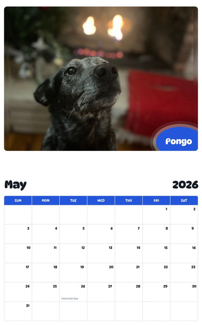 2026 - 2027 Pongo - Pawidols Pet Calendar