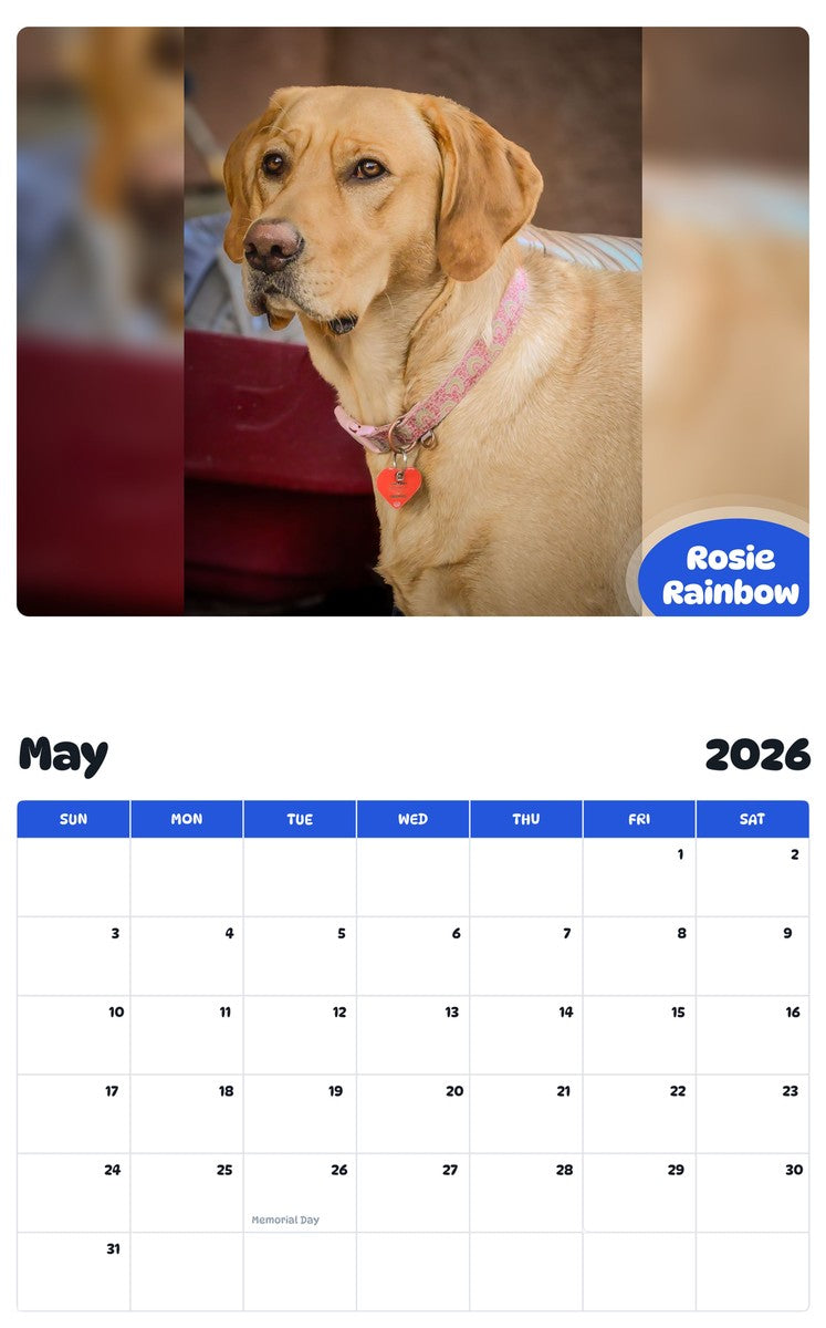 2026 - 2027 Rosie Rainbow - Pawidols Pet Calendar