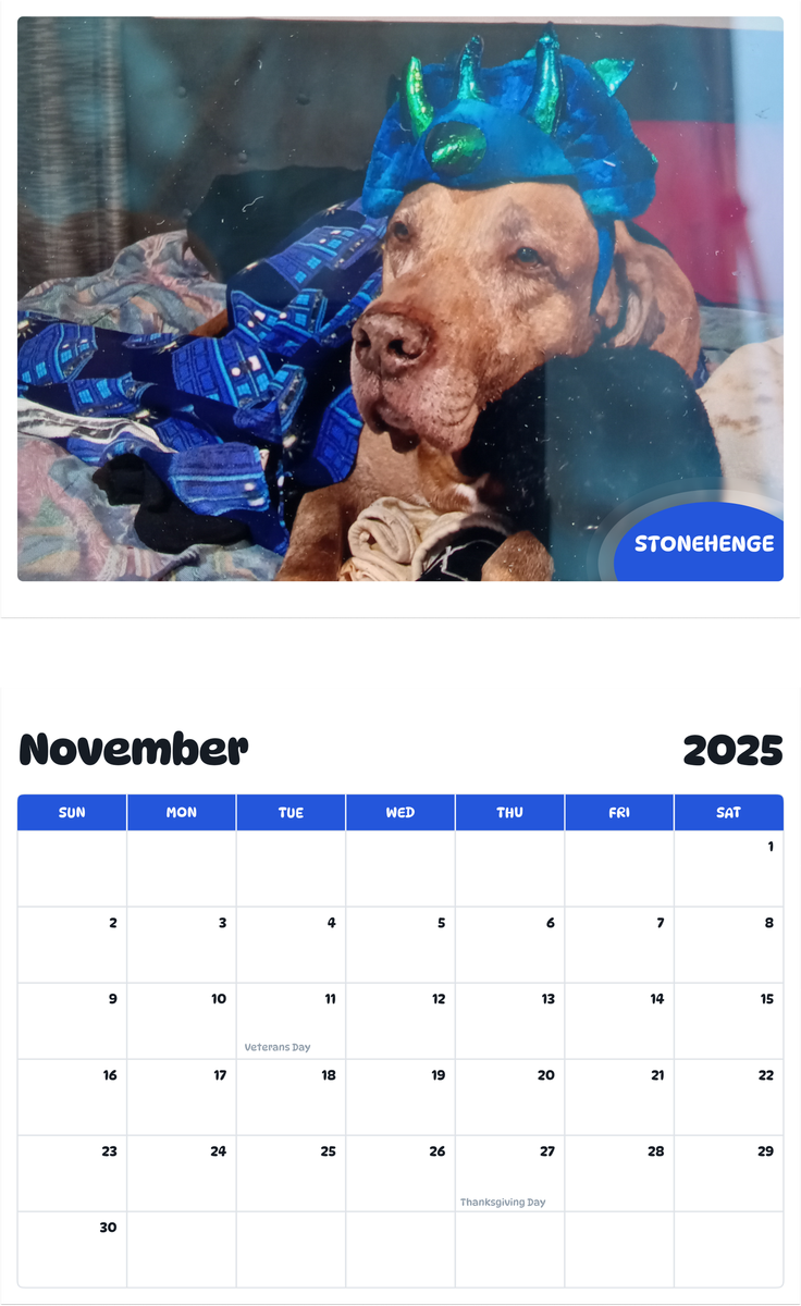 July 2025 - June 2026 Stonehenge - Pawidols Pet Calendar