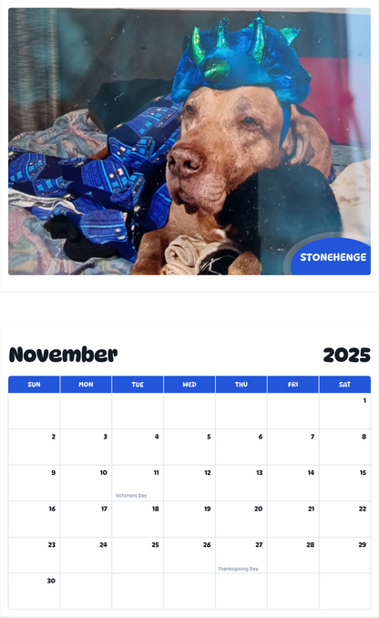 July 2025 - June 2026 Stonehenge - Pawidols Pet Calendar