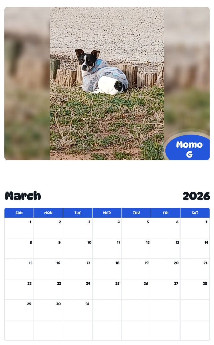 November 2025 - October 2026 Momo G - Pawidols Pet Calendar