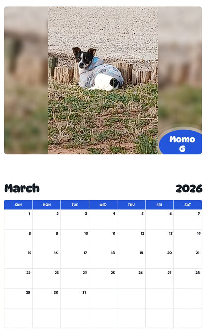 November 2025 - October 2026 Momo G - Pawidols Pet Calendar