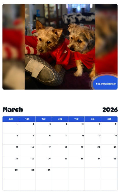 November 2025 - October 2026 Leo & Chunkamunk - Pawidols Pet Calendar