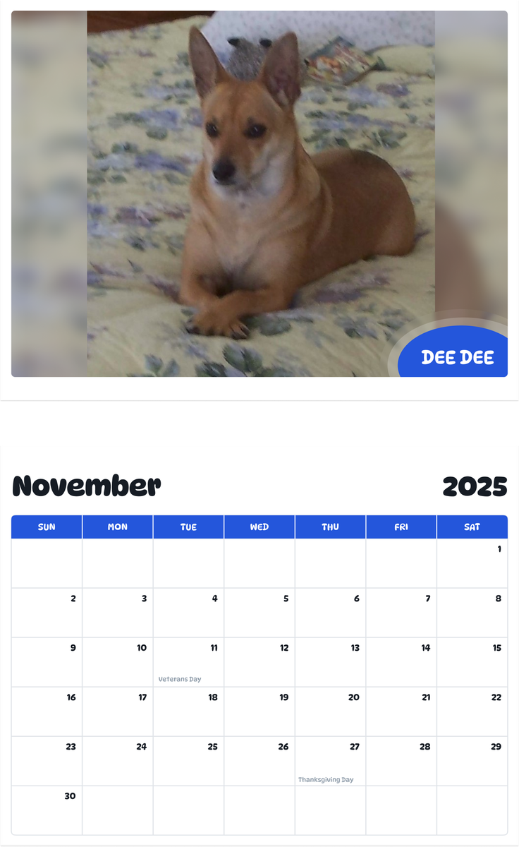 July 2025 - June 2026 Dee Dee - Pawidols Pet Calendar