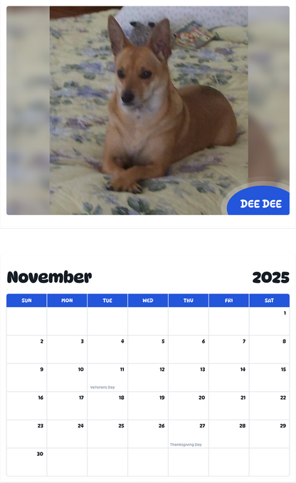 July 2025 - June 2026 Dee Dee - Pawidols Pet Calendar