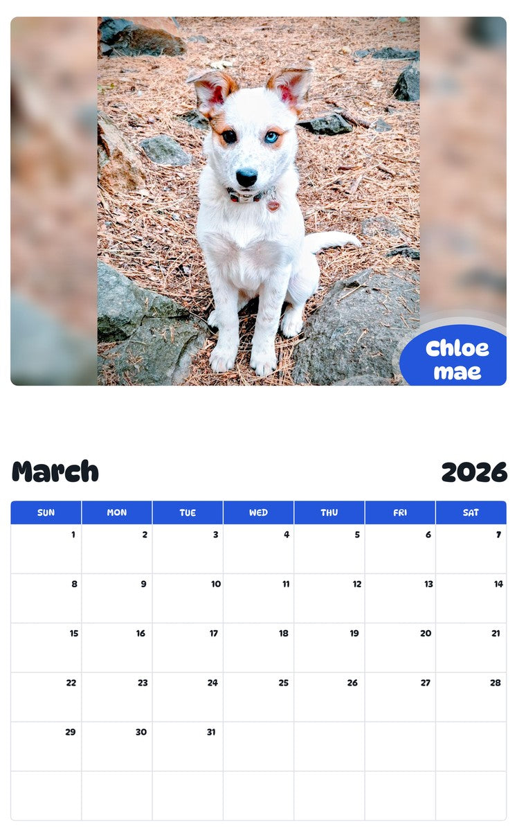 November 2025 - October 2026 Chloe mae - Pawidols Pet Calendar
