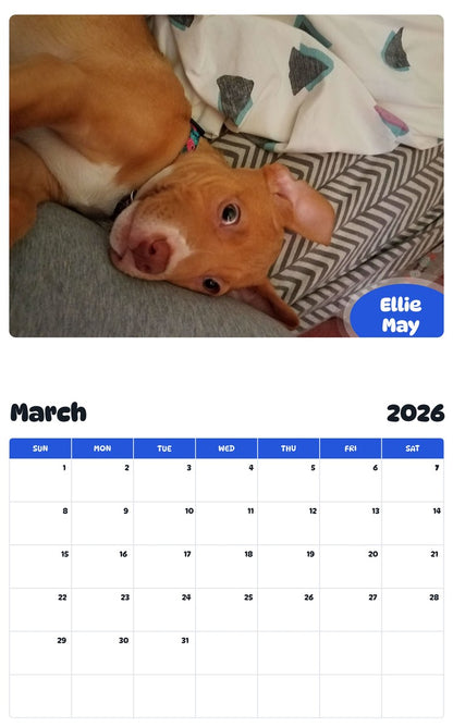 November 2025 - October 2026 Ellie May - Pawidols Pet Calendar