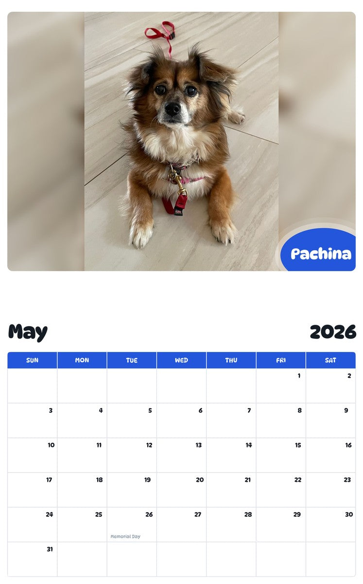 2026 - 2027 Pachina - Pawidols Pet Calendar