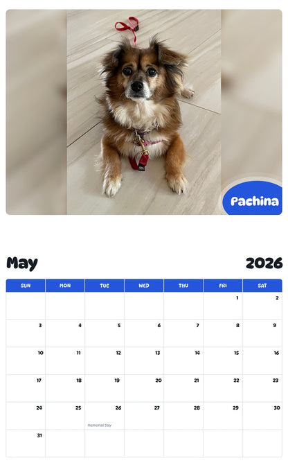 2026 - 2027 Pachina - Pawidols Pet Calendar