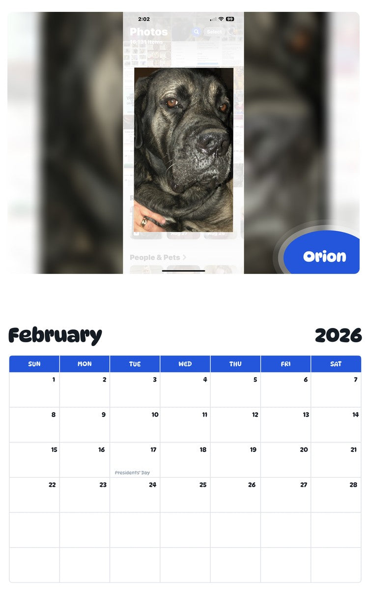 October 2025 - September 2026 Orion - Pawidols Pet Calendar