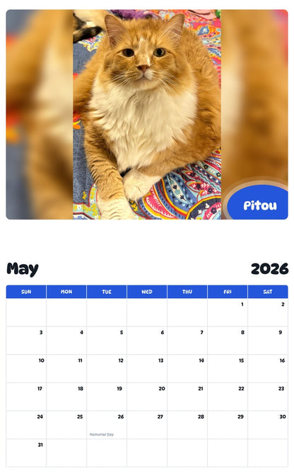2026 - 2027 Pitou - Pawidols Pet Calendar