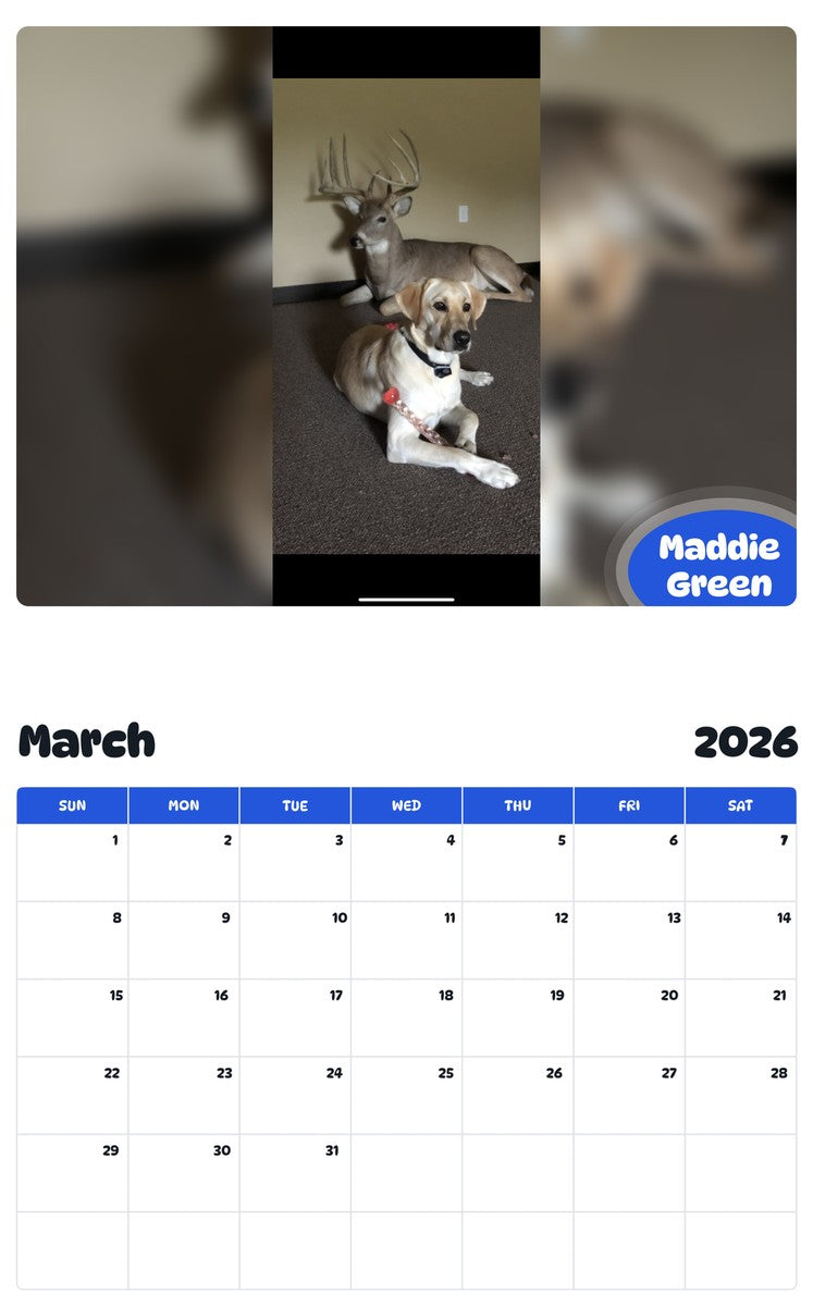 November 2025 - October 2026 Maddie Green - Pawidols Pet Calendar