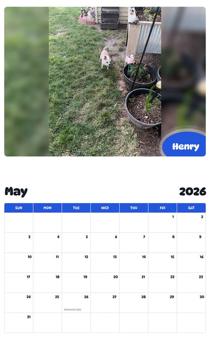 2026 - 2027 Henry - Pawidols Pet Calendar