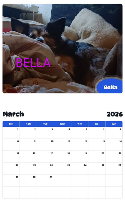 November 2025 - October 2026 Bella - Pawidols Pet Calendar