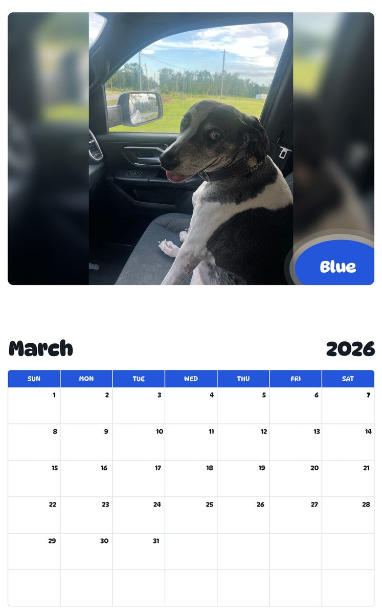 November 2025 - October 2026 Blue - Pawidols Pet Calendar