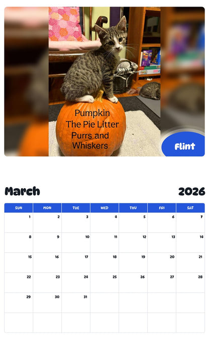 November 2025 - October 2026 Flint - Pawidols Pet Calendar