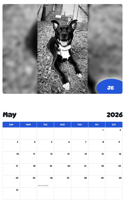 2026 - 2027 JB - Pawidols Pet Calendar